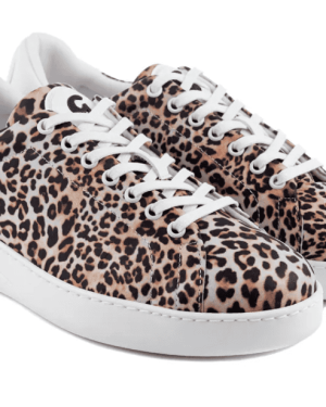 GROOVIES BALI, PORTDANCE